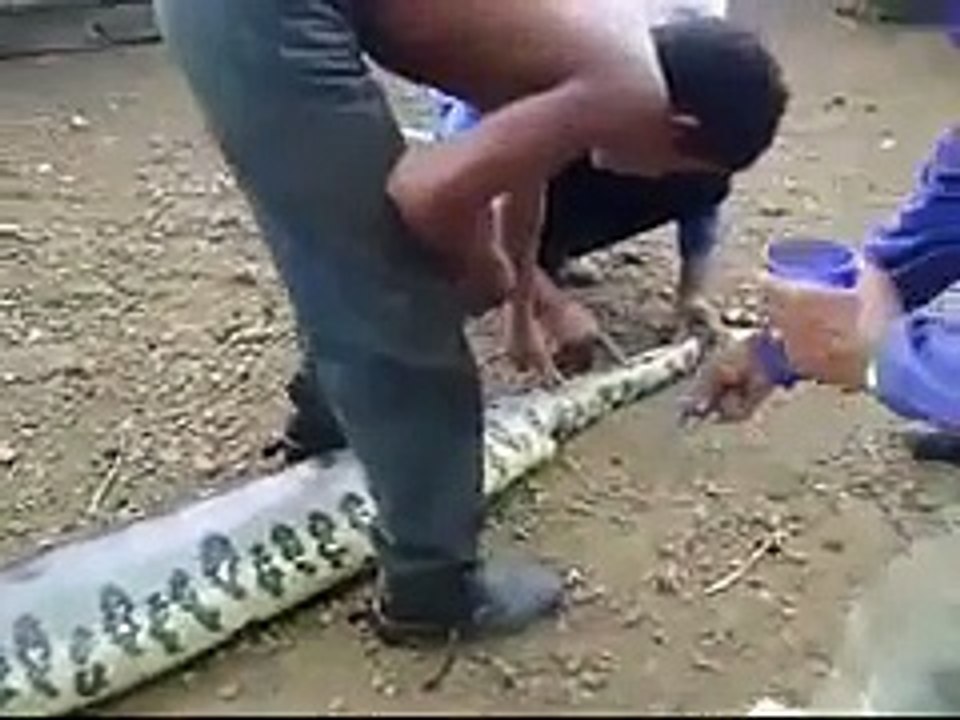 İnanılmaz Bir Şey Yok Böyle Bir Şey