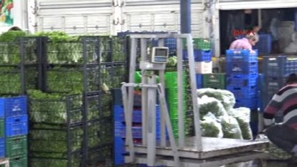 Antalya-Yaz Meyveleri Gramla Satılıyor