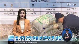 쌀 가격 안정 위해 벼 9천여 톤 매입
