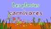 Les plantes carnivores - 2ème partie - dessin animé éducatif Genikids pour enfant  Dessins Animés En Français