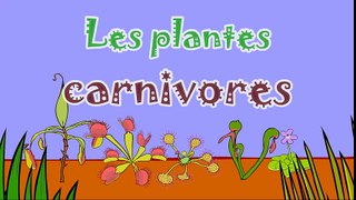 Les plantes carnivores - 2ème partie - dessin animé éducatif Genikids pour enfant  Dessins Animés En Français
