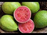 Diet - Guava - Amrood - Health Care Urdu  Videos