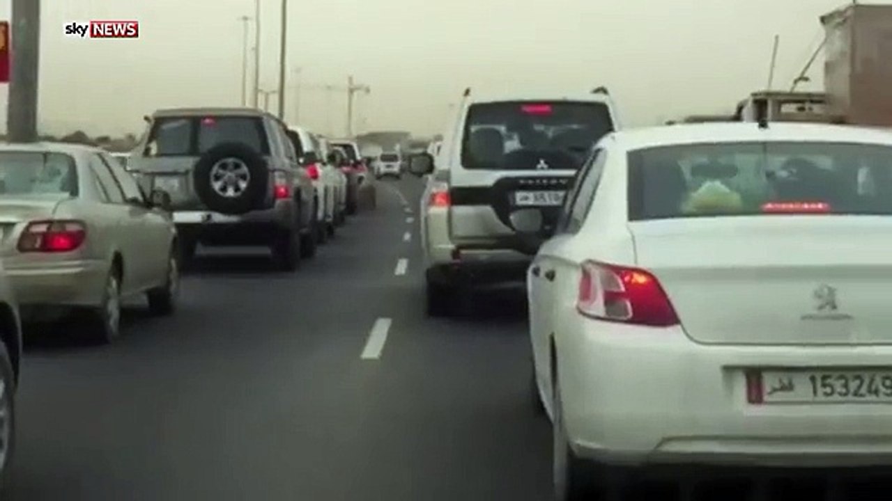 Pet Tiger Cub Escapes Along Busy Highway