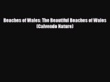 PDF Beaches of Wales: The Beautiful Beaches of Wales (Calvendo Nature) PDF Book Free