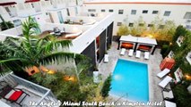 Hotels in Miami Beach The Anglers Miami South Beach a Kimpton Hotel Florida