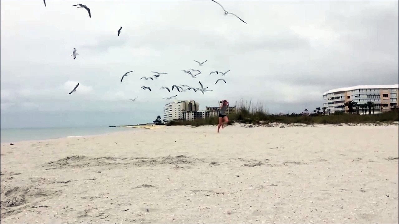 Une fille chassée par des mouettes sur la plage... Elles ont très faim