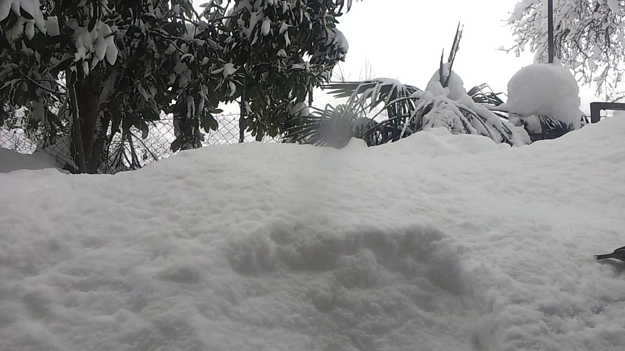 20160126_154101