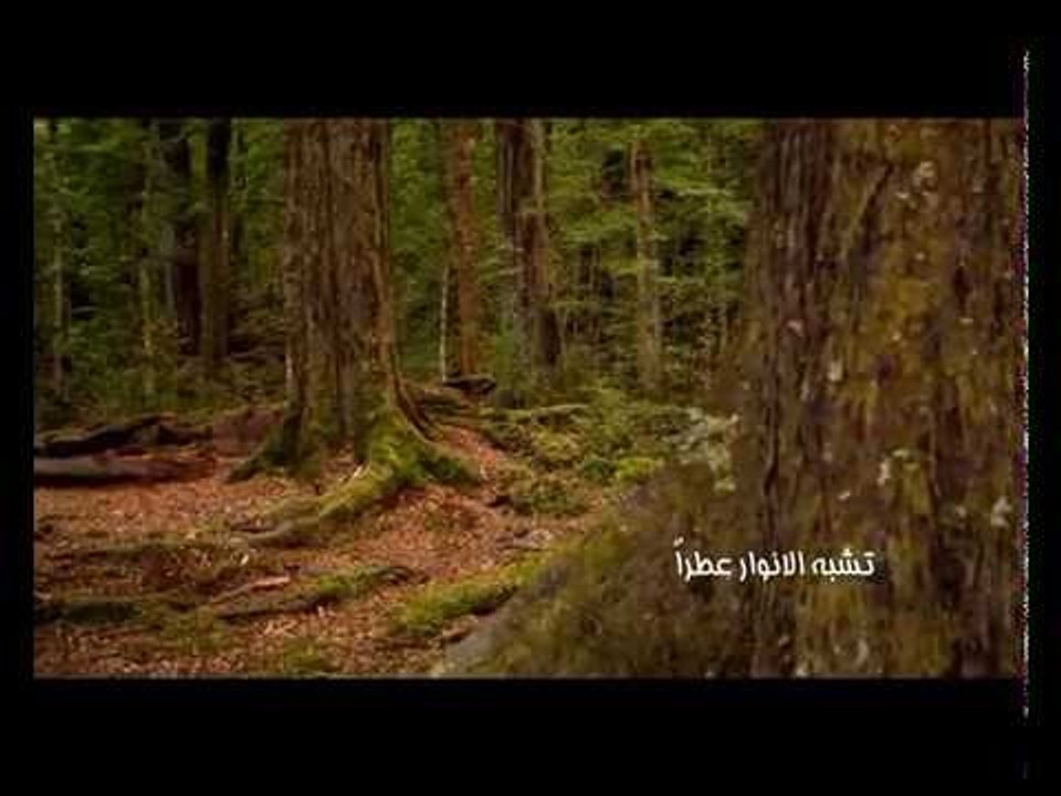 النجم عماد الاسمر سبحت لله حصريا على شعبيات رمضان يقربنا Emad Elasmr Sabaht lelah