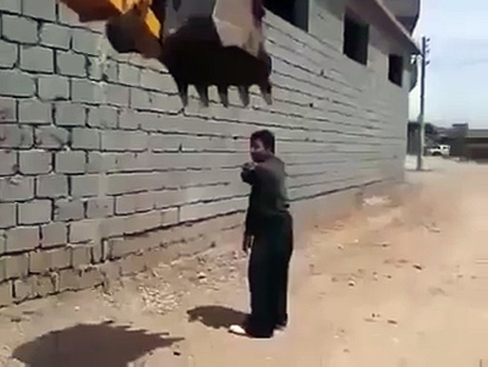 ياناس
