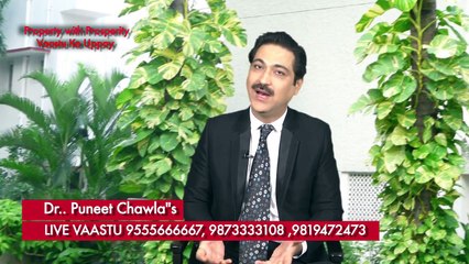 Tips for Money plant to earn More Money | Vastu Consultant