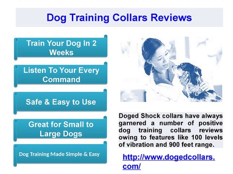 Dog Training Collars Reviews