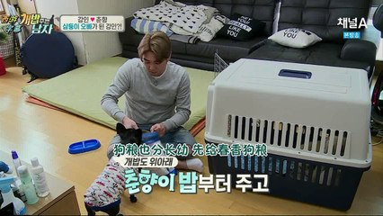 【西游字幕】1603011 给狗粮的男人 E13 强仁CUT中字