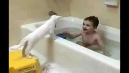 Cat just don't want to bathe
