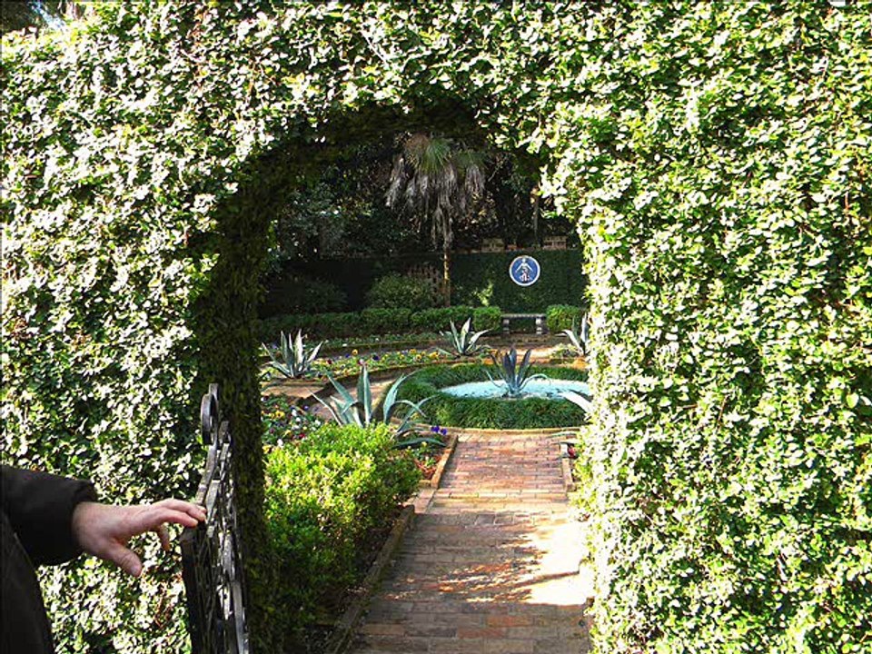 Indoor Gardening Are Best For People Who Love Plants