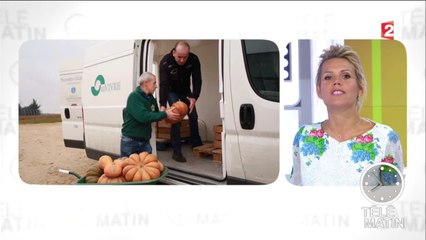 Actions solidaires-Collecte agri-citoyenne
