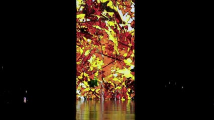 MBFWR FW16/17 Oksana Fedorova Design Studio