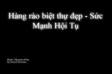 Mẫu hàng rào biệt thự đẹp - Sức Mạnh Hội Tụ