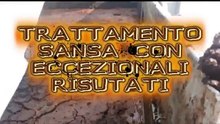 ESSICCATOIO FANGHI E BIOMASSA PHYSIS