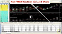 2016 FOREX | Binary OPTIONS | Real Results in Real Time on Real Accounts [Binary Options Trading 2016]
