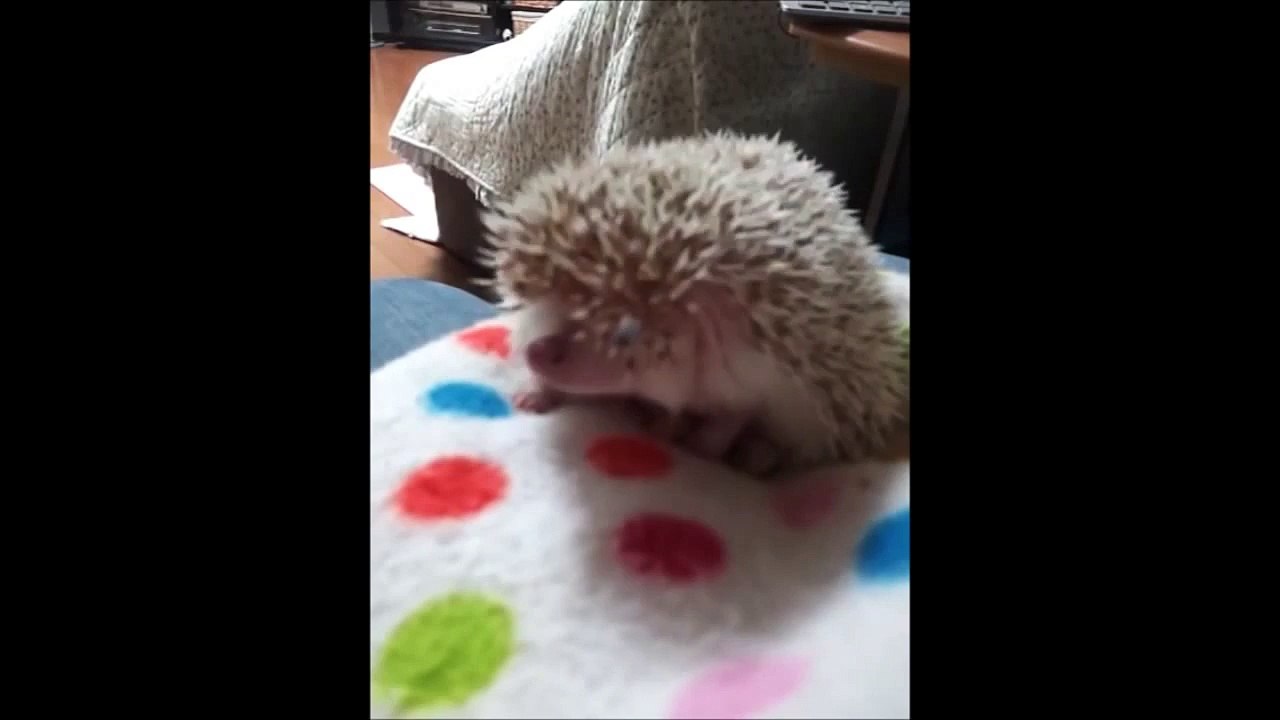 130105 NMB48 西澤瑠莉奈 あんじゅⅡ気長に見て下さいm m