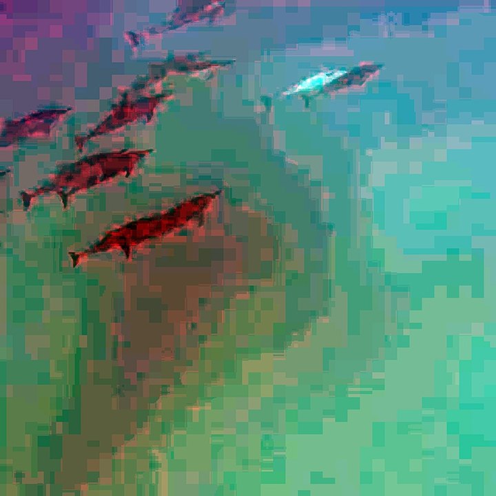 isla mauricio