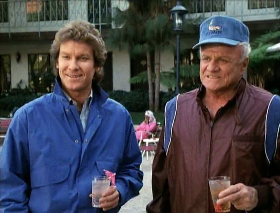 Hardcastle And Mccormick 3x11