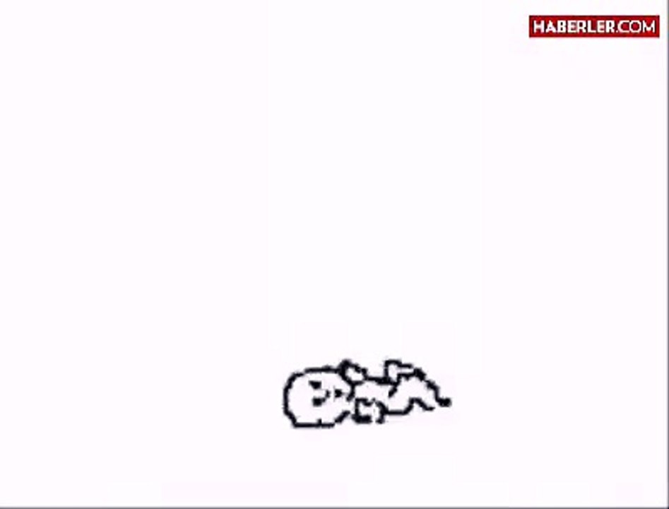 Human Life