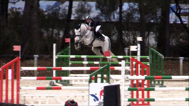 10-Saumur - CSO - Nicolas Touzaint - Crocket 30 - JO/JEM