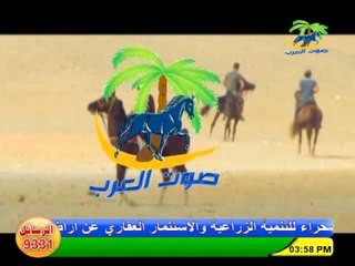 جاد اللة الفرجاني - فوق الاعلام عليتي | اغاني و حفلات الباديه