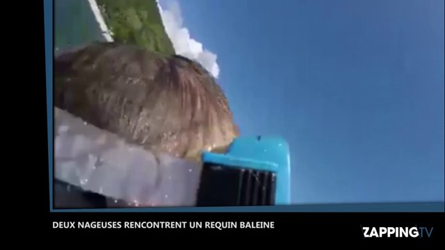 Deux nageuses se retrouvent face à un requin baleine, les images impressionnantes (Vidéo)