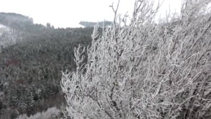 Abant'ta Kar