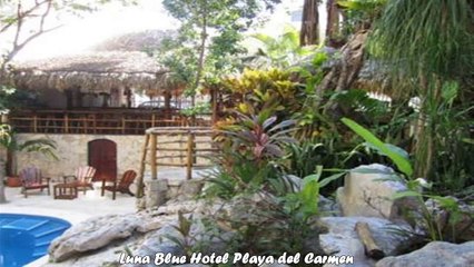 Hotels in Playa del Carmen Luna Blue Hotel Playa del Carmen Mexico