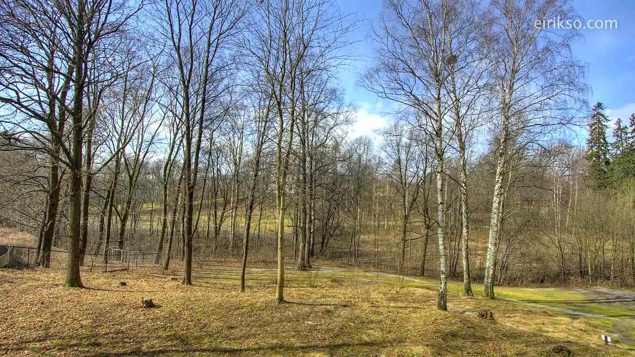 Один год за 40 секунд - 720x540