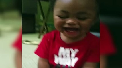 Baby Laughs When Mom Says -Donkey- - Funny Animals Channel