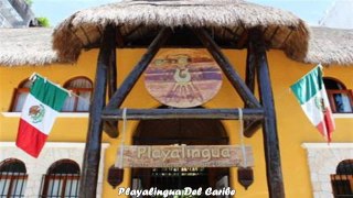 Hotels in Playa del Carmen Playalingua Del Caribe Mexico