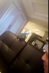 Un perroquet imite l'accélération d'une voiture de sport