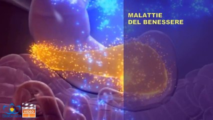 Immigrazione? Ecco i rischi per la salute