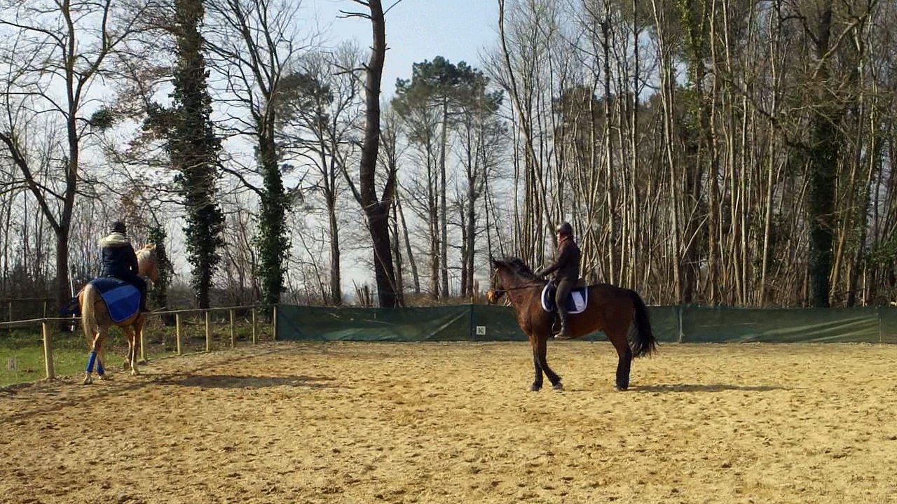stage mars 2016 déplacer les hanches sur le cercle