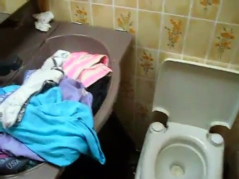 Camping De Zonnebloem!