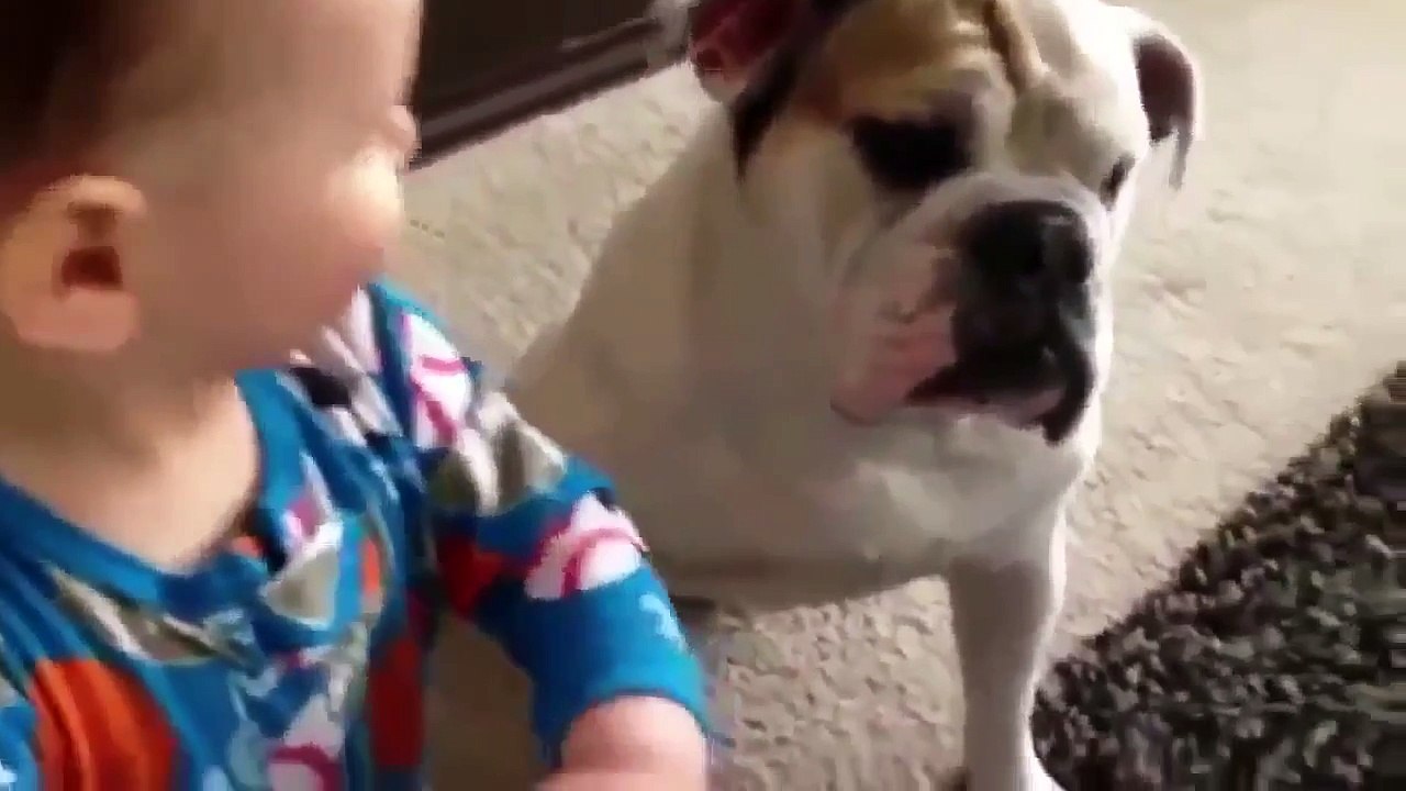 ОЧЕНЬ СМЕШНЫЕ ПРИКОЛЫ С ЖИВОТНЫМИ 2015 FUNNY JOKES WITH ANIMALS (1)