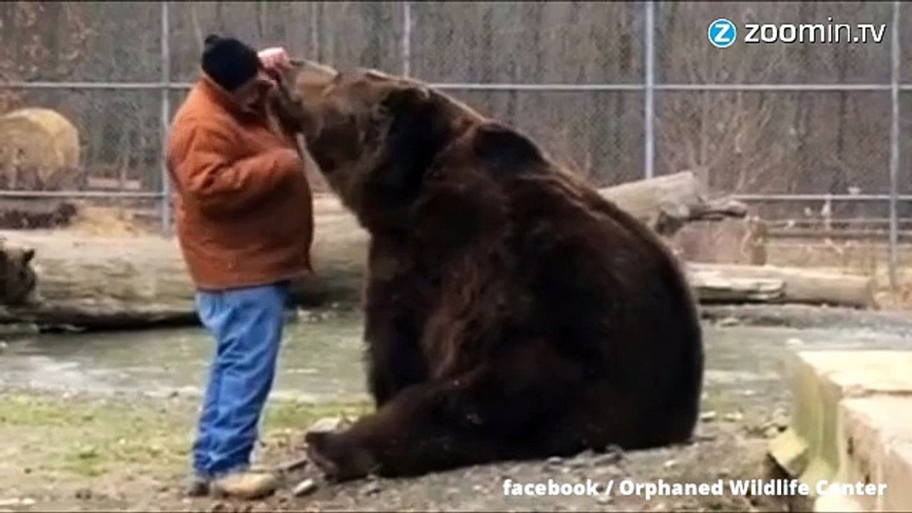 Kuscheln oder weglaufen?