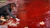 30 Pictures show pollution in China | Amazing photos compilation 2016