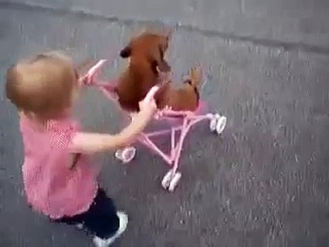 А собаке нравится =