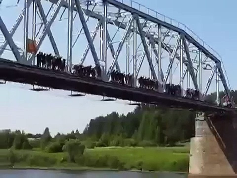 Вместе весело с Моста