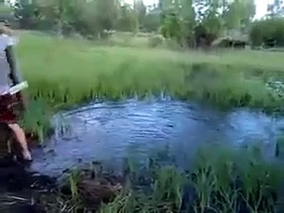 Недопрыгнул Прикол