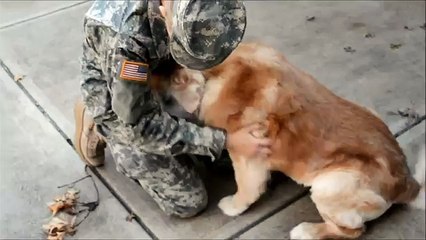 Soldier Coming Home; Dog's Reaction