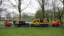 Tree Surgeons Nottingham | Top 6 Tree Services
