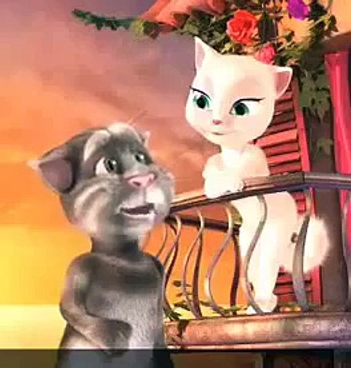 funny cat most watch