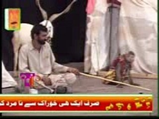 Monkey Performs New Tricks