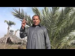 معوض الجازوي  -   لف الزمان من روائع الشيخ صديق بو عبعاب | حفلات و كليبات الباديه